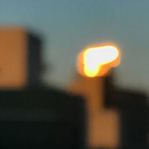 小狗视频猪兽交乄╳㐅X
