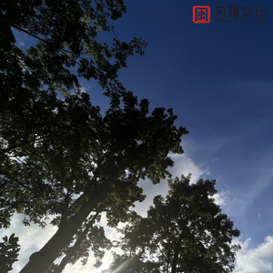 小狗视频猪兽交乄╳㐅X
